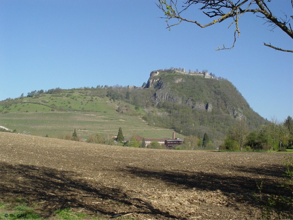 Hohentwiel von Süden im April
